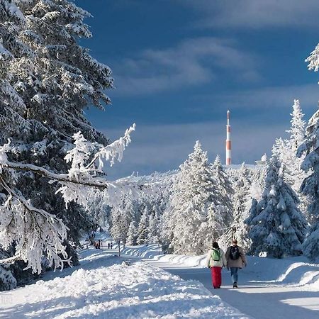 Ferienwohnung Arnika Inklusive Waeschepaket Braunlage Εξωτερικό φωτογραφία