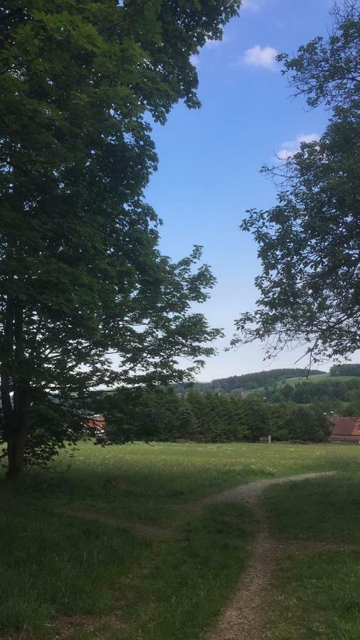 Ferienwohnung Arnika Inklusive Waeschepaket Braunlage Εξωτερικό φωτογραφία