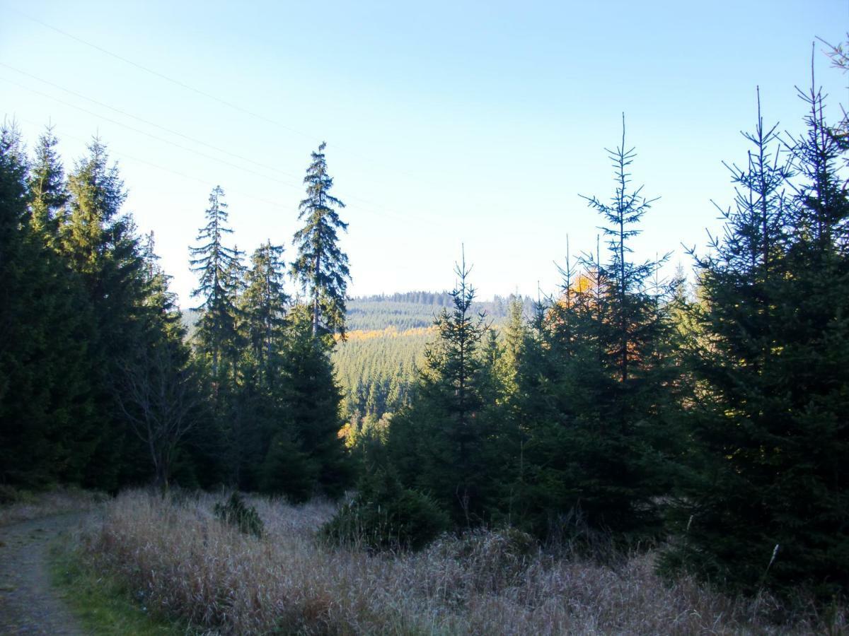 Ferienwohnung Arnika Inklusive Waeschepaket Braunlage Εξωτερικό φωτογραφία