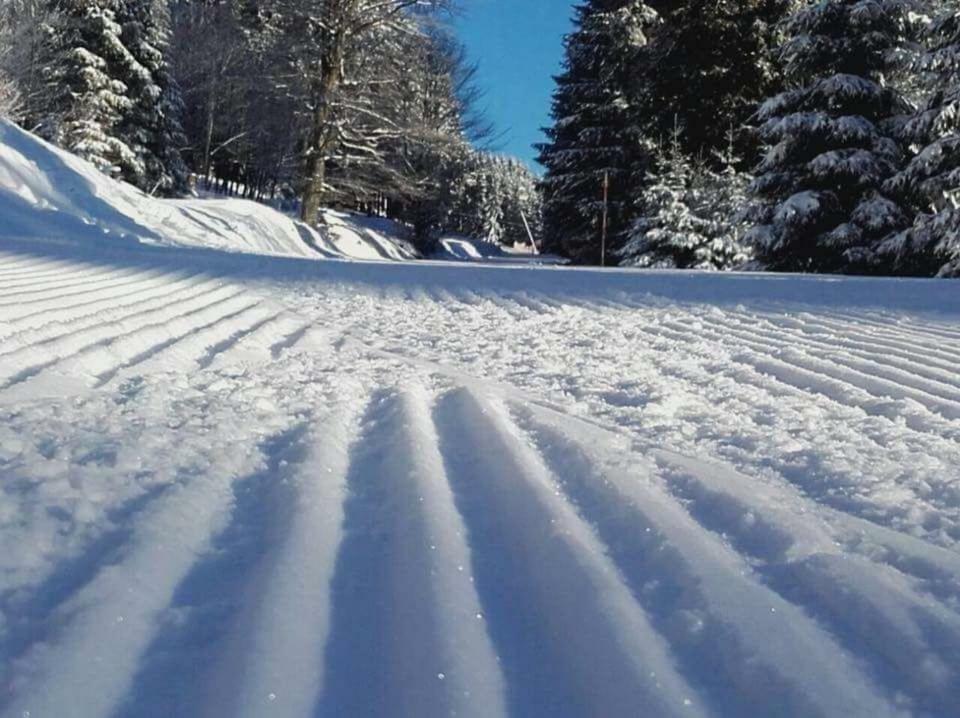 Ferienwohnung Arnika Inklusive Waeschepaket Braunlage Εξωτερικό φωτογραφία